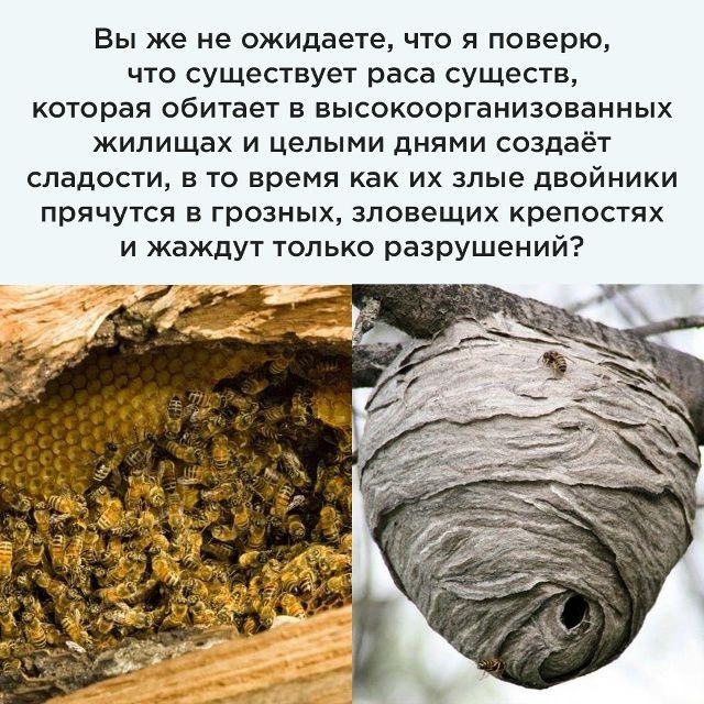 Ну так давайте же дружно, сделаем за час, в течении недели 😂 | Сетка — социальная сеть от hh.ru