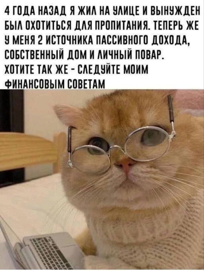 И, самое главное, все сам 😂😂
#Юмор@poldner #Коты@poldner | Сетка — социальная сеть от hh.ru