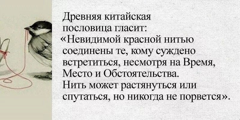 @statusday #БизнесМотивация | Сетка — социальная сеть от hh.ru