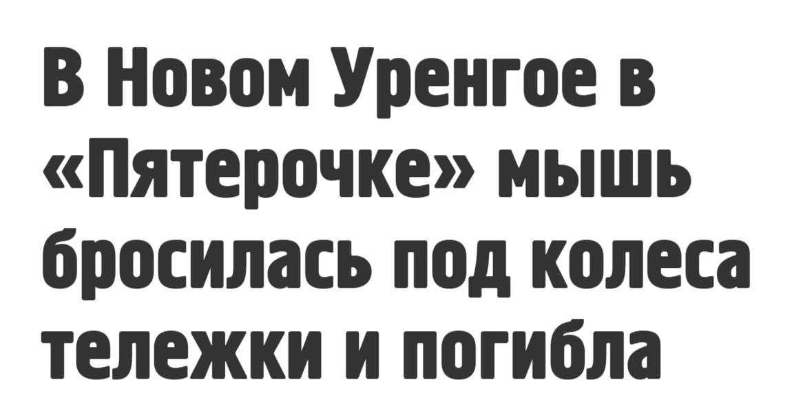 Гигиена труда, или Бюджетная дератизация 🐭
Блог—Инженера с утра и навсегда ❤️
✴️ СУОТ 🔐 Услуги
В этом посте были ссылки, но мы их удалили по правилам Сетки | Сетка — социальная сеть от hh.ru