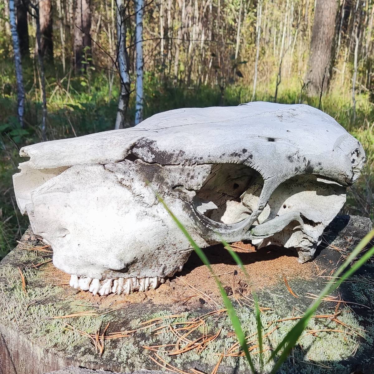 Константин Кантеров | Сетка — социальная сеть от hh.ru