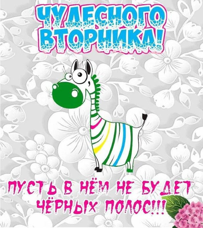 Уже ВТОРНИК 👍
А подсказка Вселенной уже в сторис 👆 | Сетка — социальная сеть от hh.ru