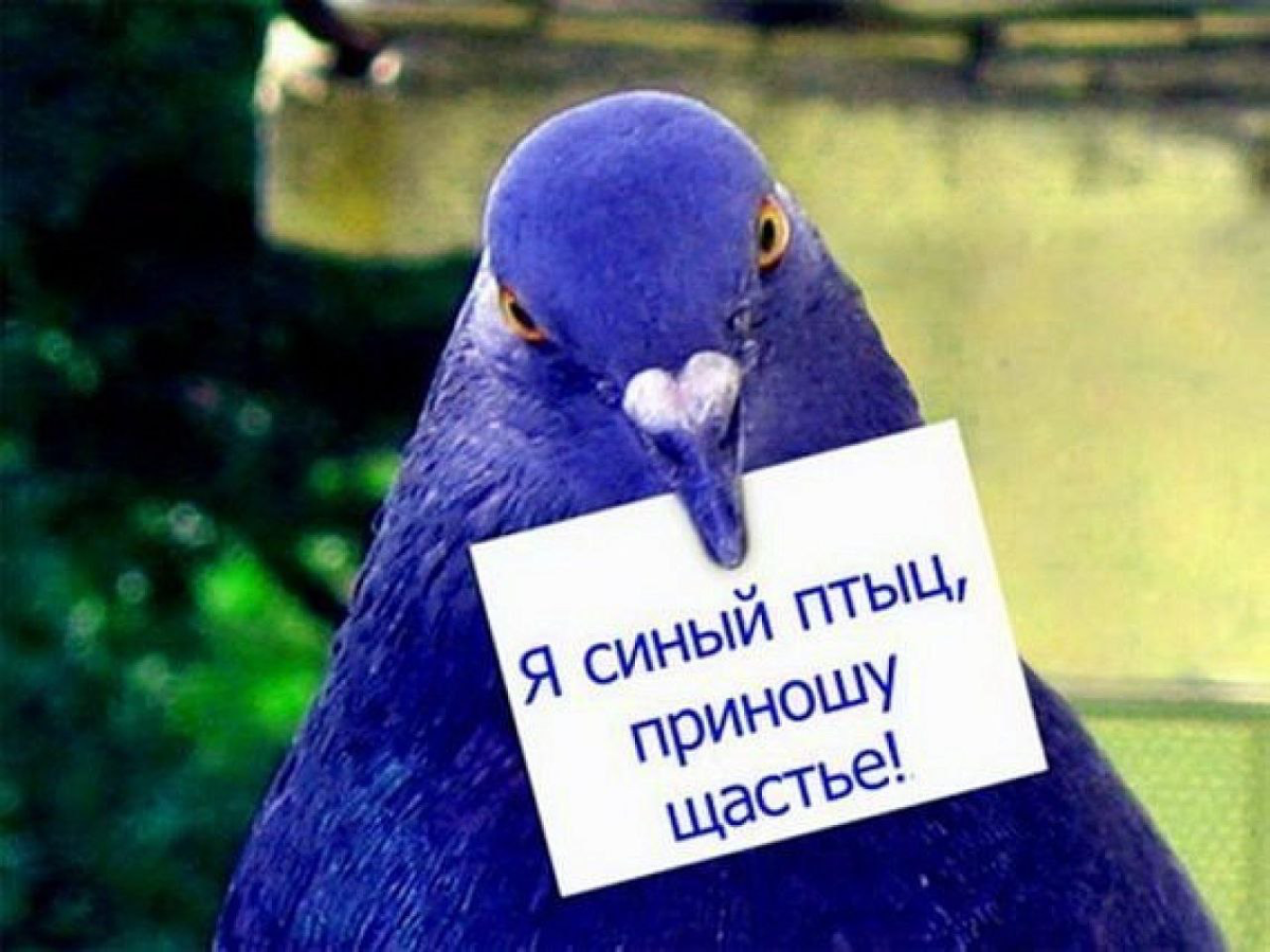 🏆 Чем хороши «кандидаты-летуны» — их неочевидные суперсилы | Сетка — социальная сеть от hh.ru