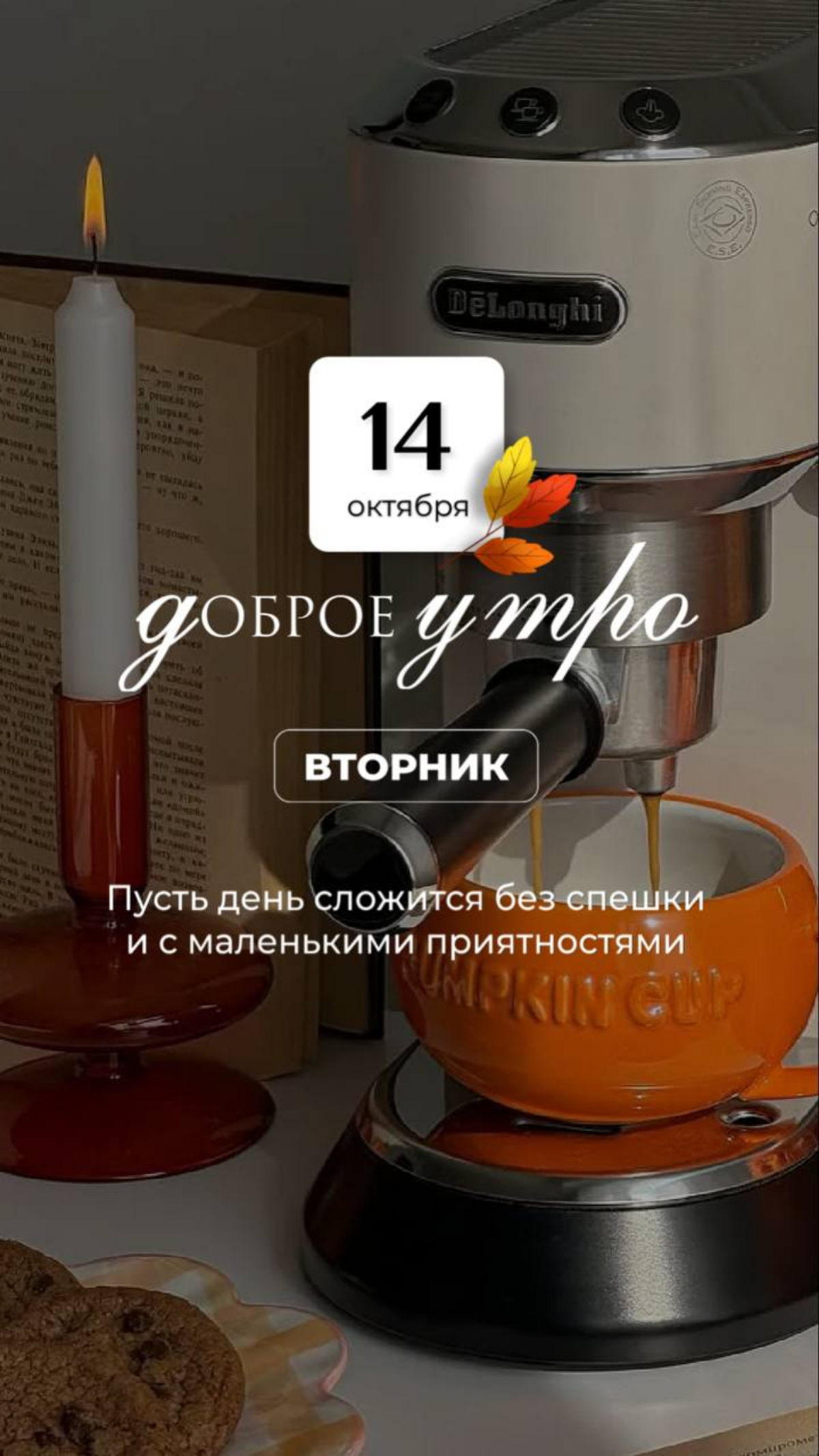 Утреннее | Сетка — социальная сеть от hh.ru