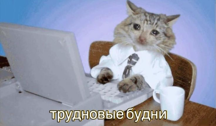 Если 80%⏰– работа, почему тогда вы работаете там, где плохо? | Сетка — социальная сеть от hh.ru