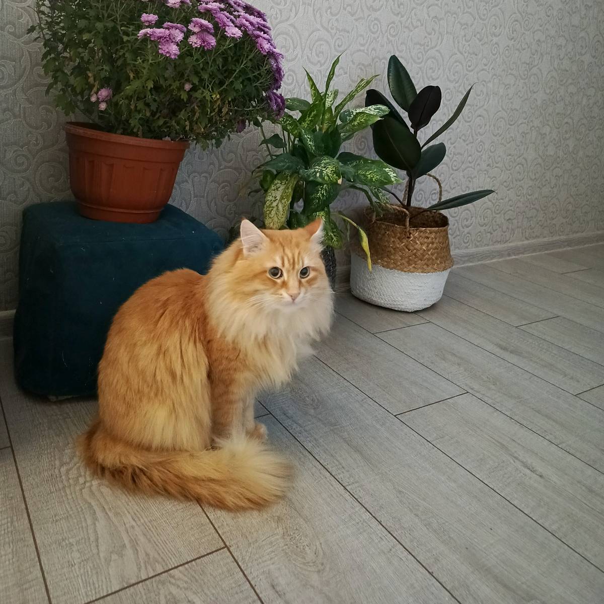 Таня Бажгина