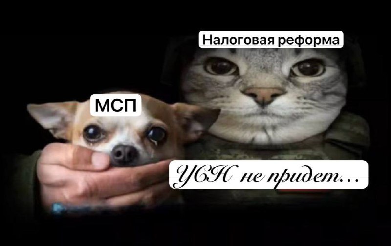 Саша, я льгот на УСН не чувствую!
А у тебя их и нет...
Говоря про НПД мы зачастую подразумеваем МСП, но под МСП мы еще чаще подразумеваем УСН.. | Сетка — социальная сеть от hh.ru