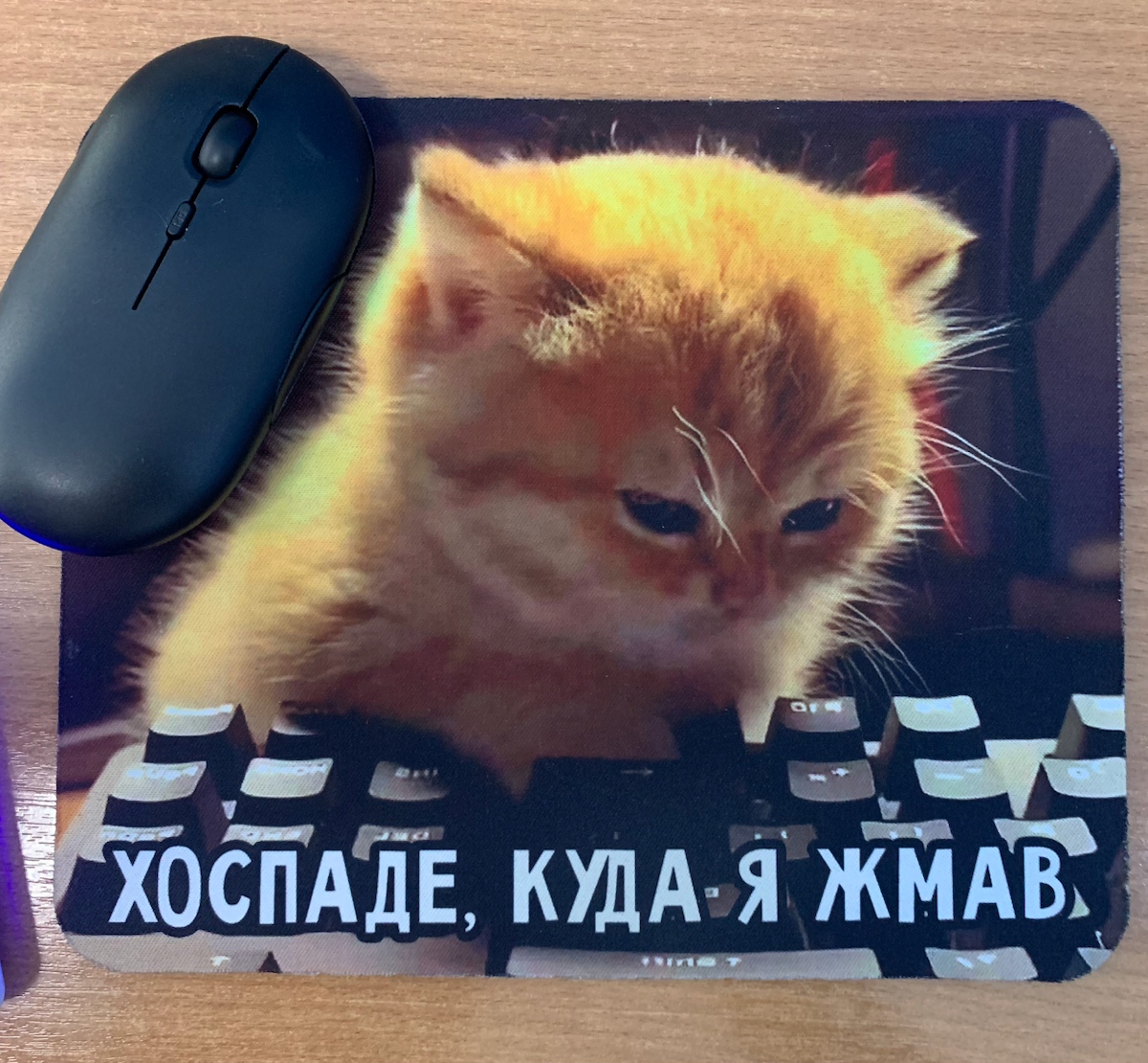 Это не мем, это моя жЫзнь | Сетка — социальная сеть от hh.ru