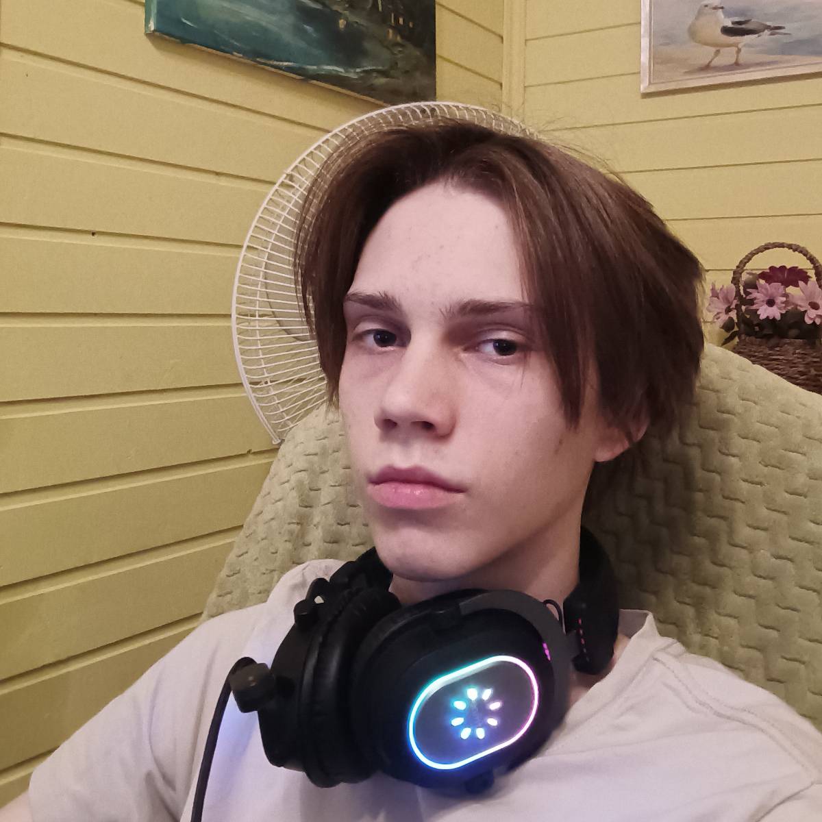 Network member avatar