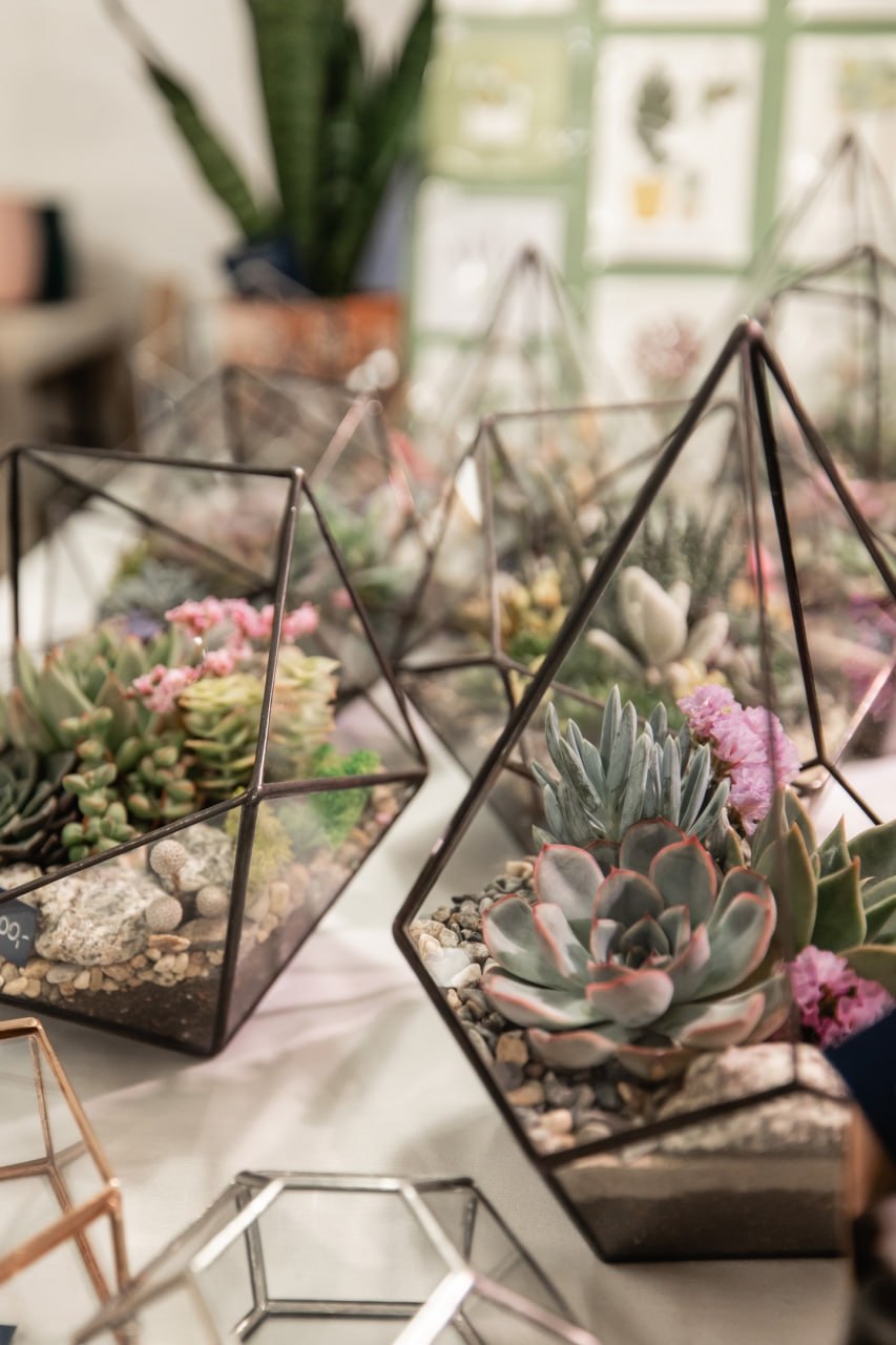 ✨В выходные на «Хлебозаводе» пройдет финальный Growbox Market в этом сезоне
18-19 октября
Гостей ждут ярмарка домашних растений и хендмейда, мастер-классы для детей и взрослых, а также зелёный своп — ... | Сетка — социальная сеть от hh.ru