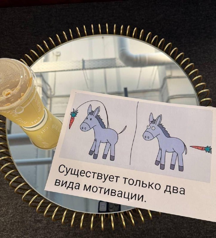 #IT
😂 ПМ 🛍 Другие каналы
В этом посте были ссылки, но мы их удалили по правилам Сетки | Сетка — социальная сеть от hh.ru