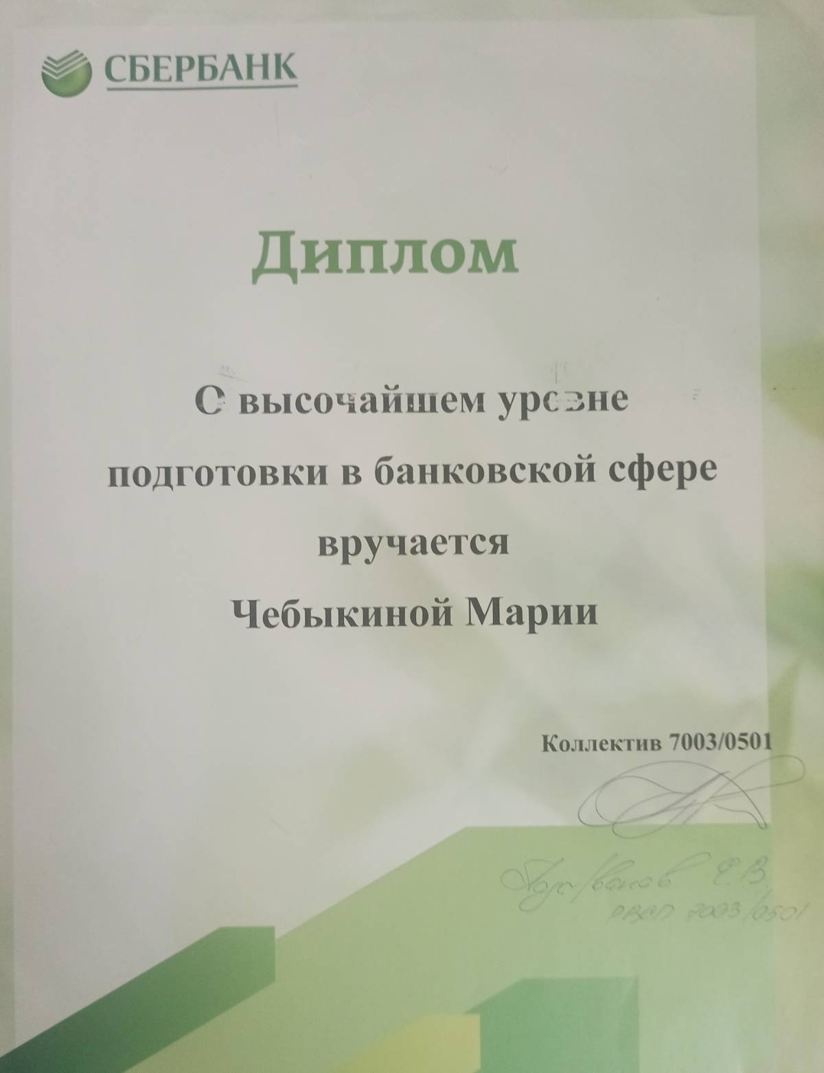 Network member avatar