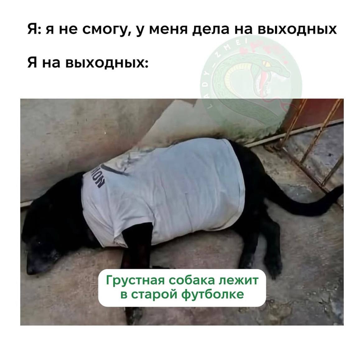 День 44
🔤 много писала
🔤 пересилила себя, чтобы начать много писать
🔤 сделала перестановку
🔤 чуть убралась из-за перестановки
🔤 радовалась, что сегодня чуть-чуть получше себя чувствую
🔤 думала о том, ... | Сетка — социальная сеть от hh.ru