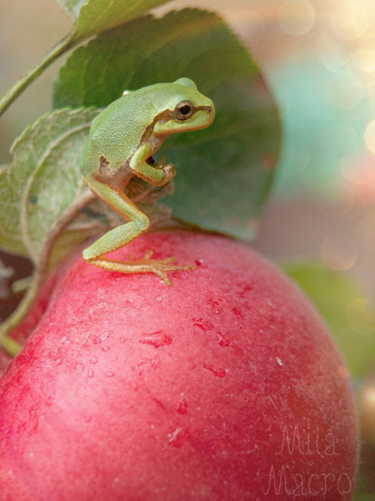 It’s Wednesday, my dudes) | Сетка — социальная сеть от hh.ru