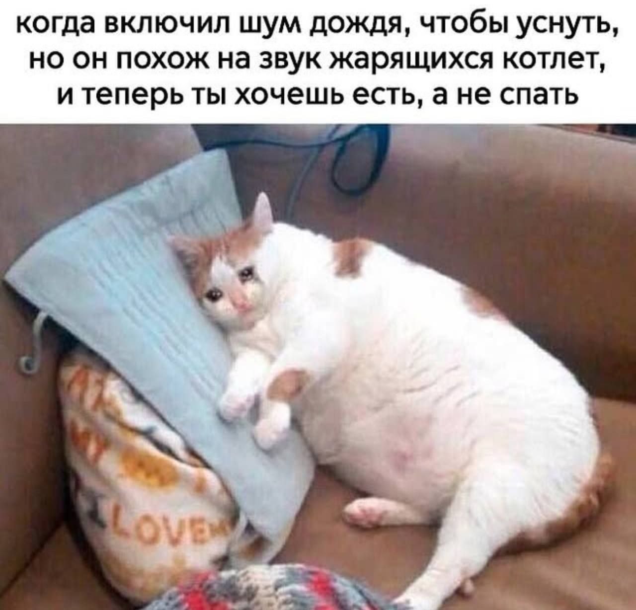 "Котиков в коллекцию) "
От любимого клиента Светланы ❤️
#Юмор@poldner #Коты@poldner | Сетка — социальная сеть от hh.ru