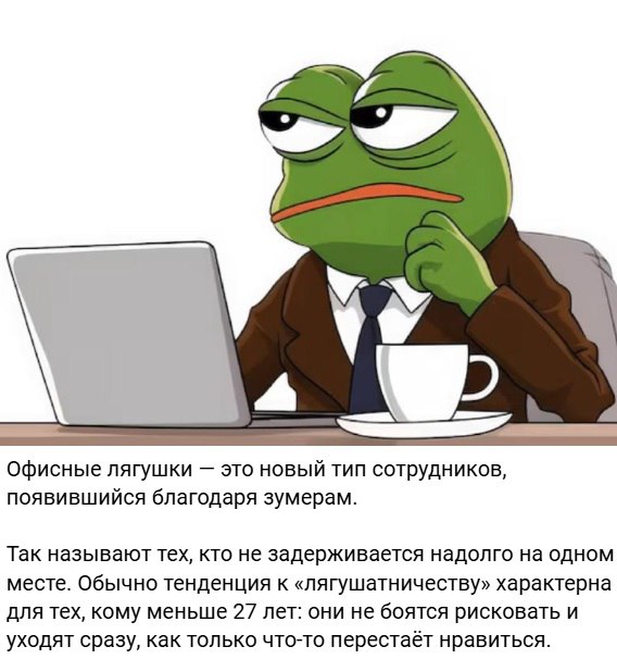 как то так 😁 | Сетка — социальная сеть от hh.ru
