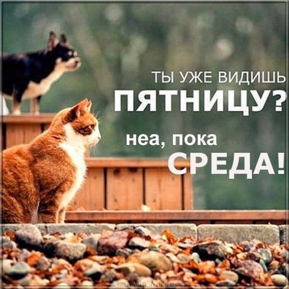 Дада, сегодня СРЕДА, хотя и хочется пятницу.
Работаем!
А подсказка Вселенной уже в сторис 👆 | Сетка — социальная сеть от hh.ru