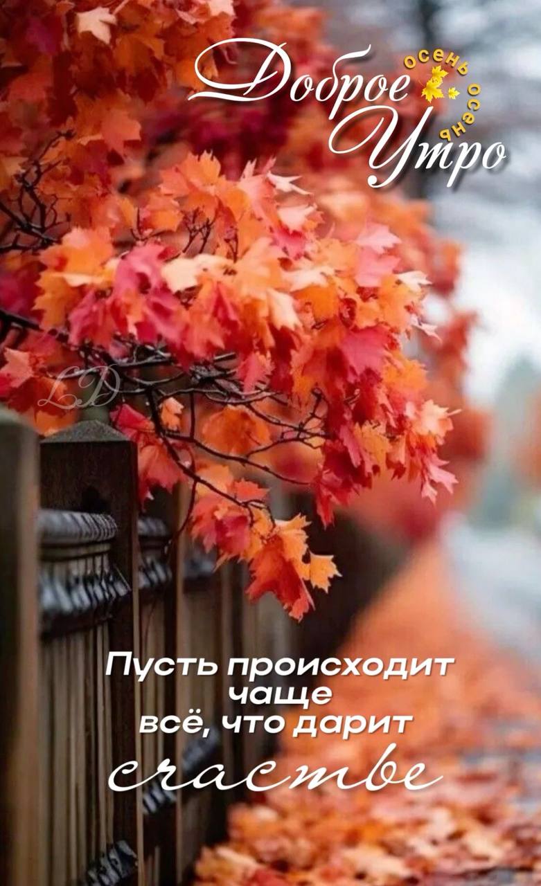 Доброе утречко🔥
Всем хорошего дня и отличного настроения! | Сетка — социальная сеть от hh.ru