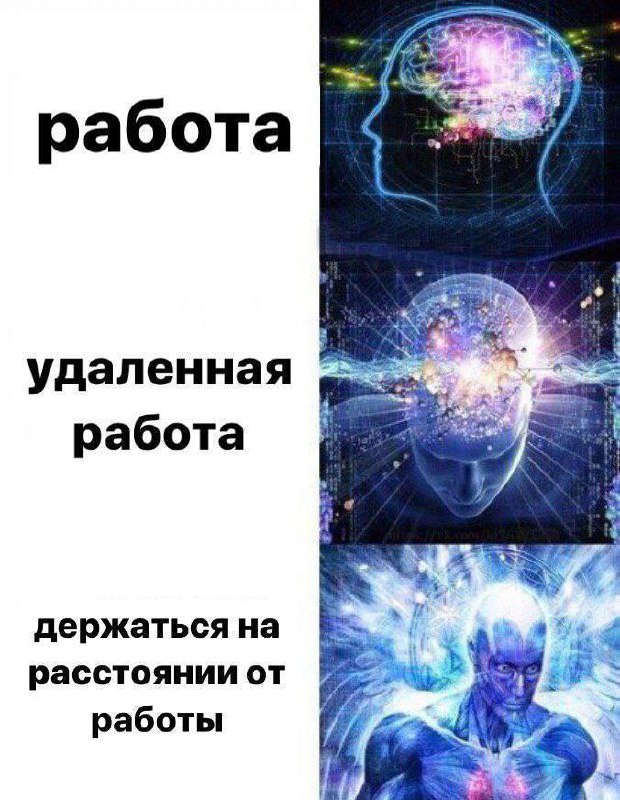 #work #life | Сетка — социальная сеть от hh.ru