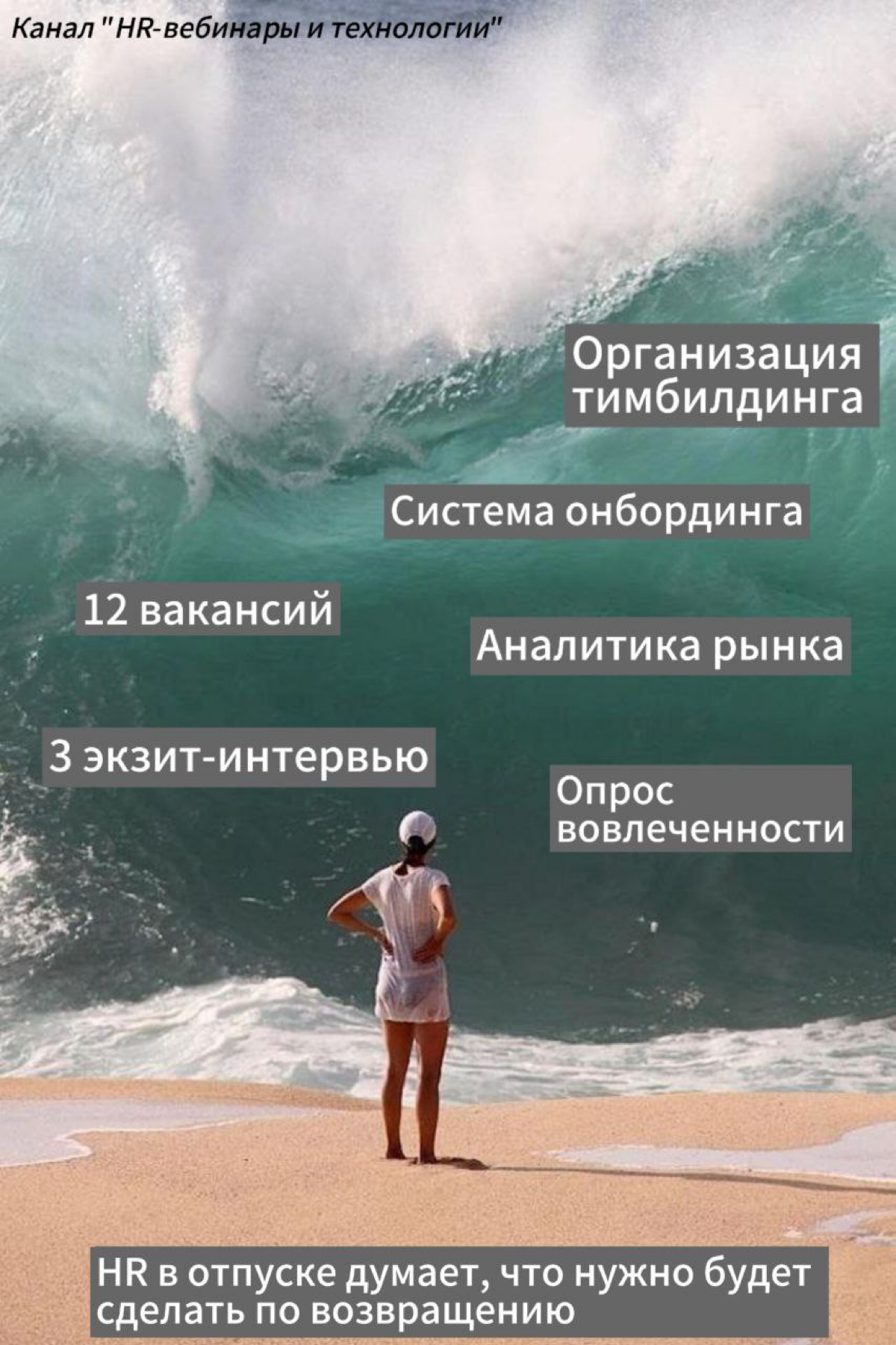 Сетка — социальная сеть от hh.ru