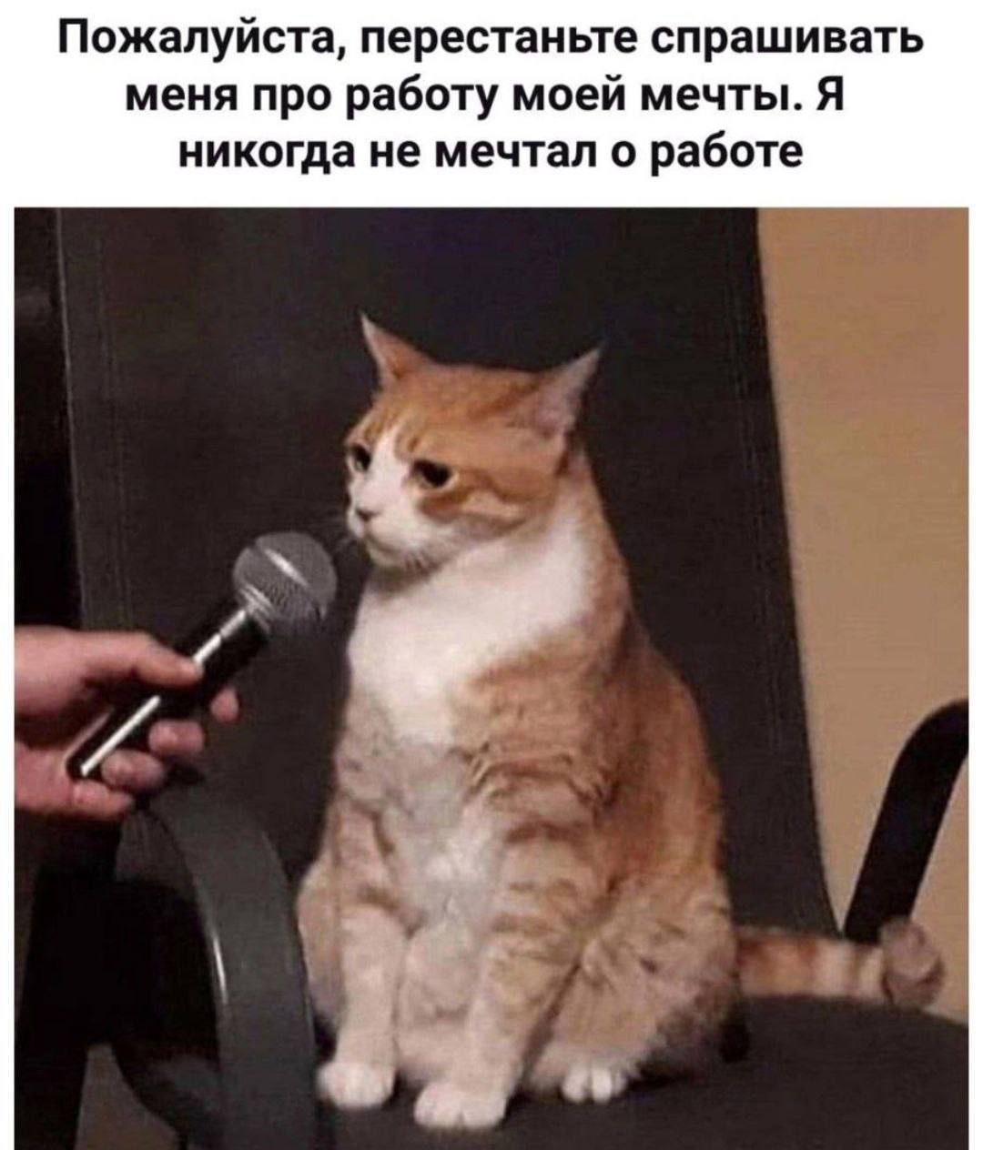 А у вас есть работа мечты?
🥰 Да, работаю на ней прямо сейчас
❤️ Да, но пока только в мечтах
🔥 Мечтаю о том, чтобы не работать
🐳 Первым ставлю реакцию, не читая даже текст поста | Сетка — социальная сеть от hh.ru