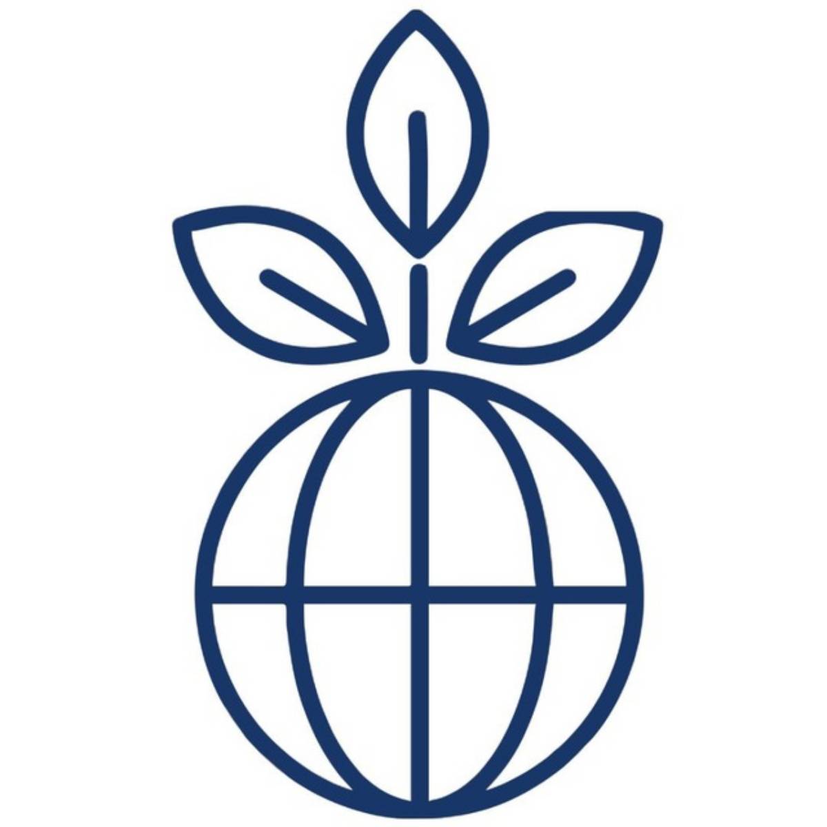 Daria Varenova | Сетка — социальная сеть от hh.ru