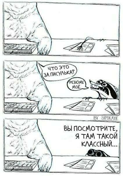 Собеседования | Сетка — социальная сеть от hh.ru