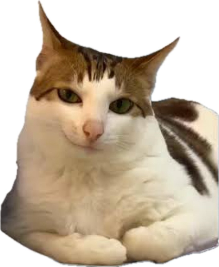 comment image