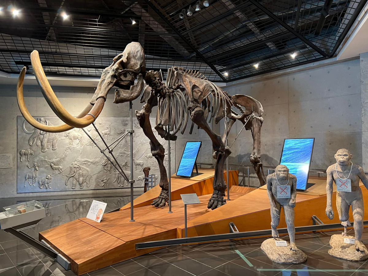 🦴 39 000 лет в одном колене | Сетка — социальная сеть от hh.ru