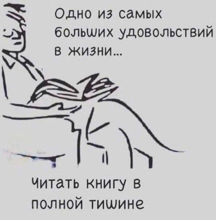 состояние вечера, где вижу только книжку🤣 | Сетка — социальная сеть от hh.ru