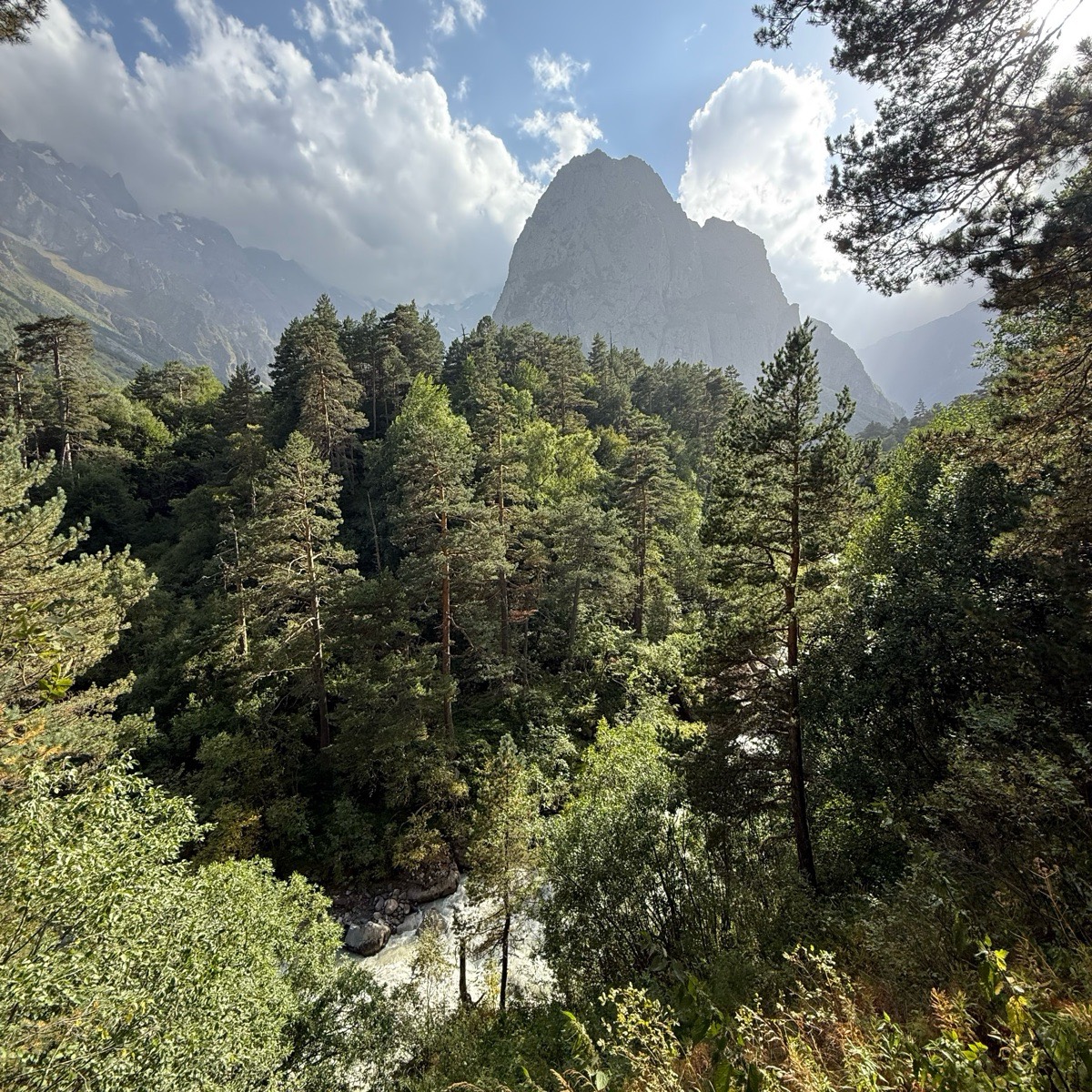 Mм Mm | Сетка — социальная сеть от hh.ru