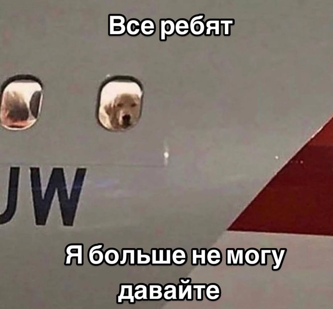 День 45
🔤 выздоравливала
🔤 пила мнооого чая
🔤 собирала луки в отпуск
🔤 работала предпоследний день перед отпуском | Сетка — социальная сеть от hh.ru