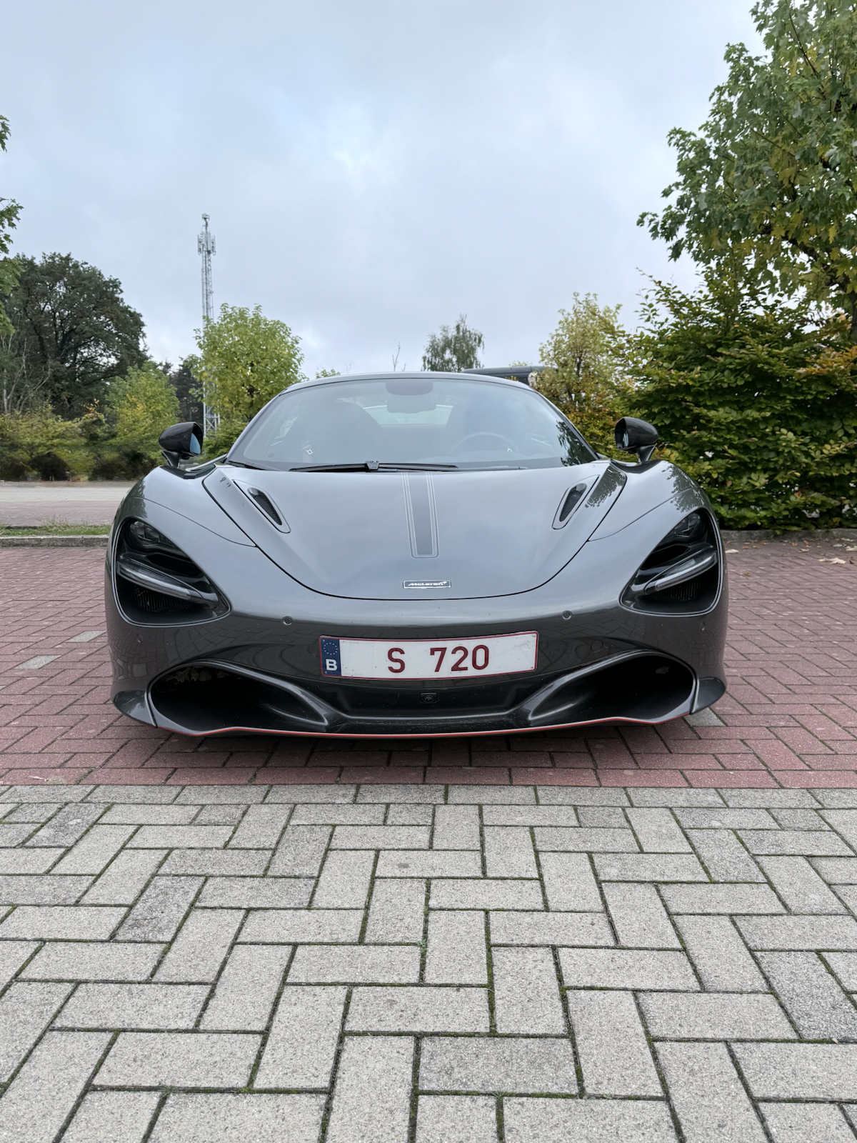 Теодор Рузвельт | Сетка — социальная сеть от hh.ru