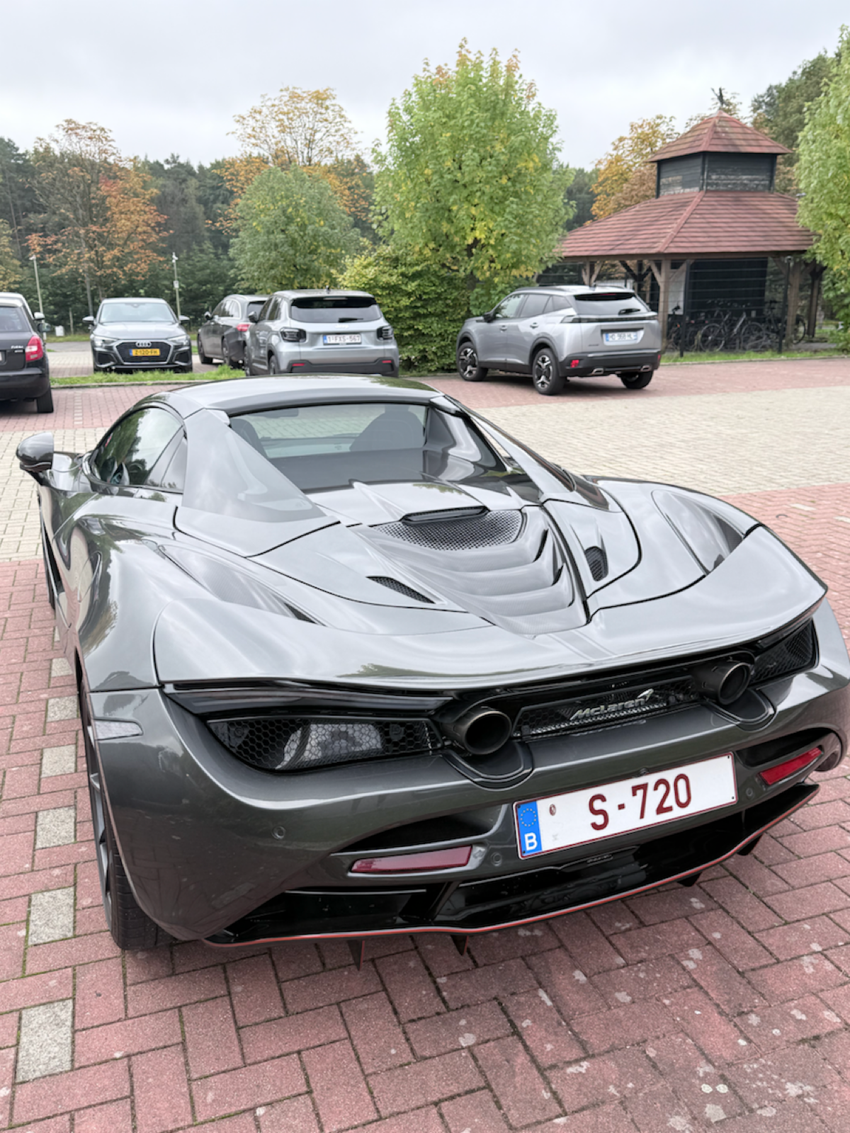 Теодор Рузвельт | Сетка — социальная сеть от hh.ru