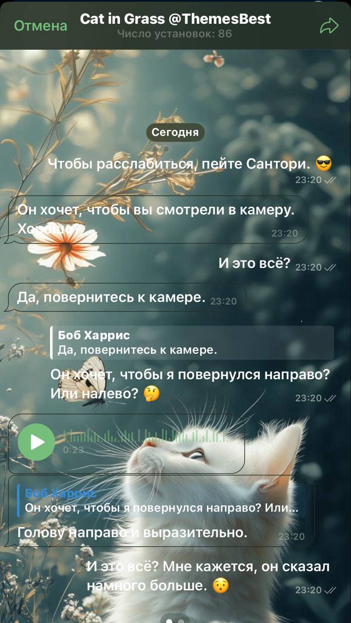 🍎 ОБОИ для ТЕЛЕГРАМ🍎[🍎 Red Flowers
violet vibe
🍎Одуванчики
кот и бабочка
🍎Cherry violet night
foggy Flowers
выше наборчики для айфона. Остается нажать-применить для всех чатов | Сетка — социальная сеть от hh.ru
