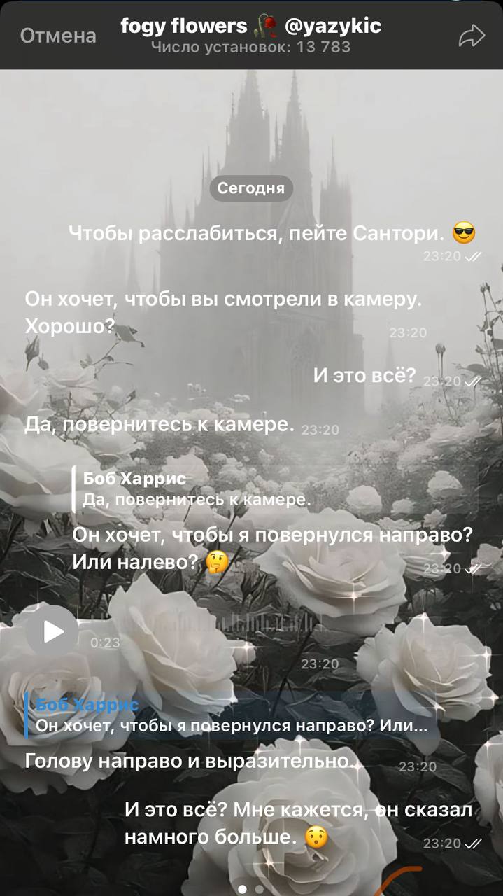 🍎 ОБОИ для ТЕЛЕГРАМ🍎[🍎 Red Flowers
violet vibe
🍎Одуванчики
кот и бабочка
🍎Cherry violet night
foggy Flowers
выше наборчики для айфона. Остается нажать-применить для всех чатов | Сетка — социальная сеть от hh.ru