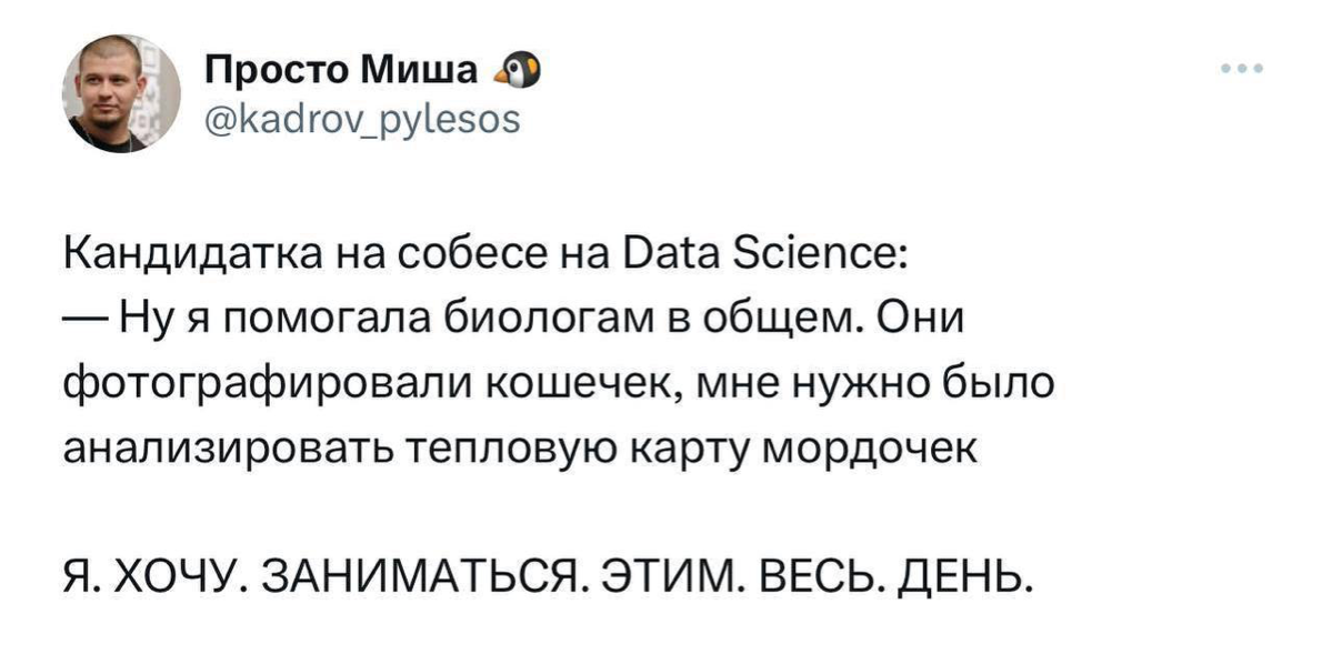 А у вас какая работа мечты ? 💭 | Сетка — социальная сеть от hh.ru
