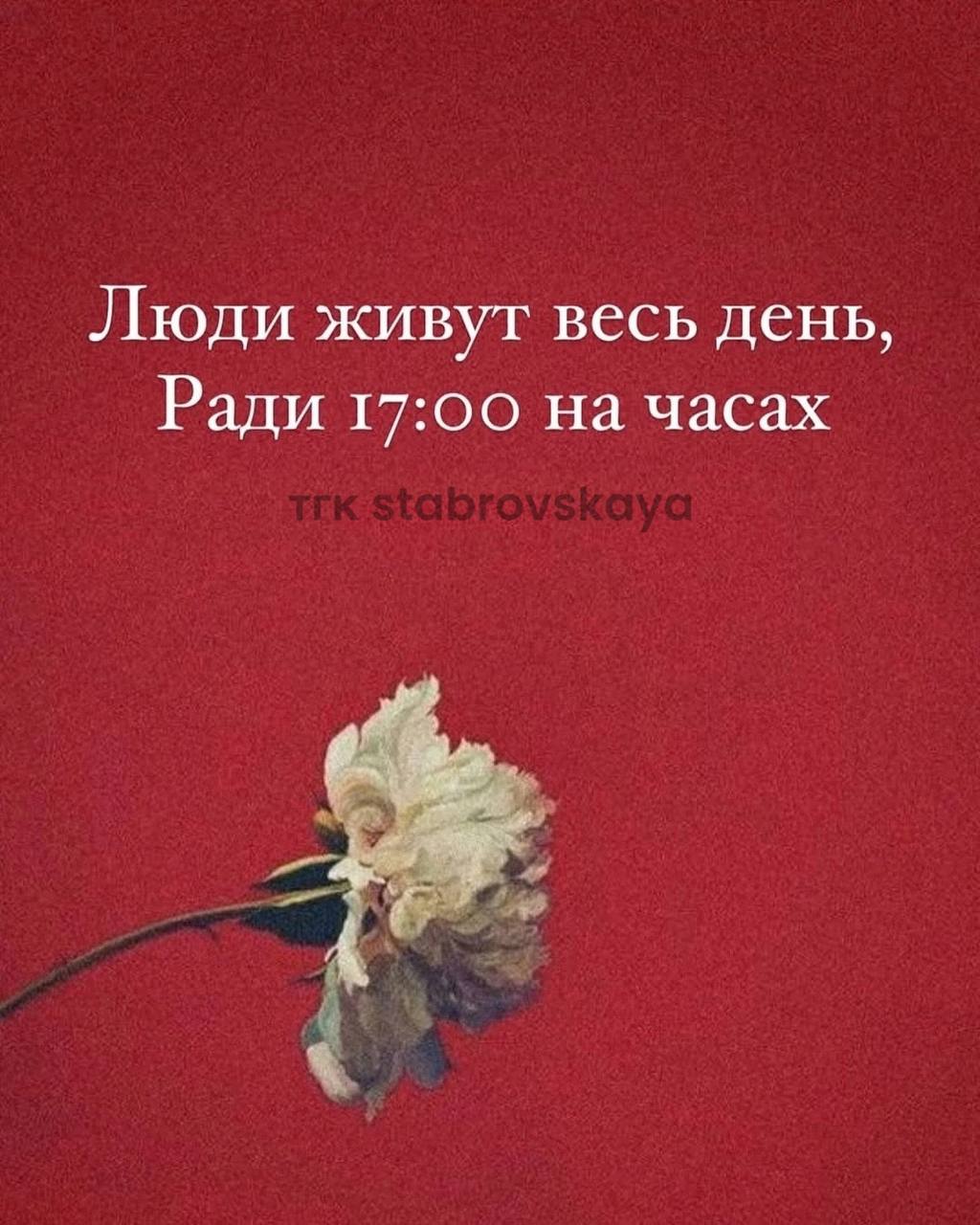 Пока вы думаете — другие забирают ваших клиентов.
Каждый день без активных соцсетей — это потерянные заявки, новые сделки и доверие аудитории.
⏰ Время — ваш главный актив. Не тратьте его впустую | Сетка — социальная сеть от hh.ru