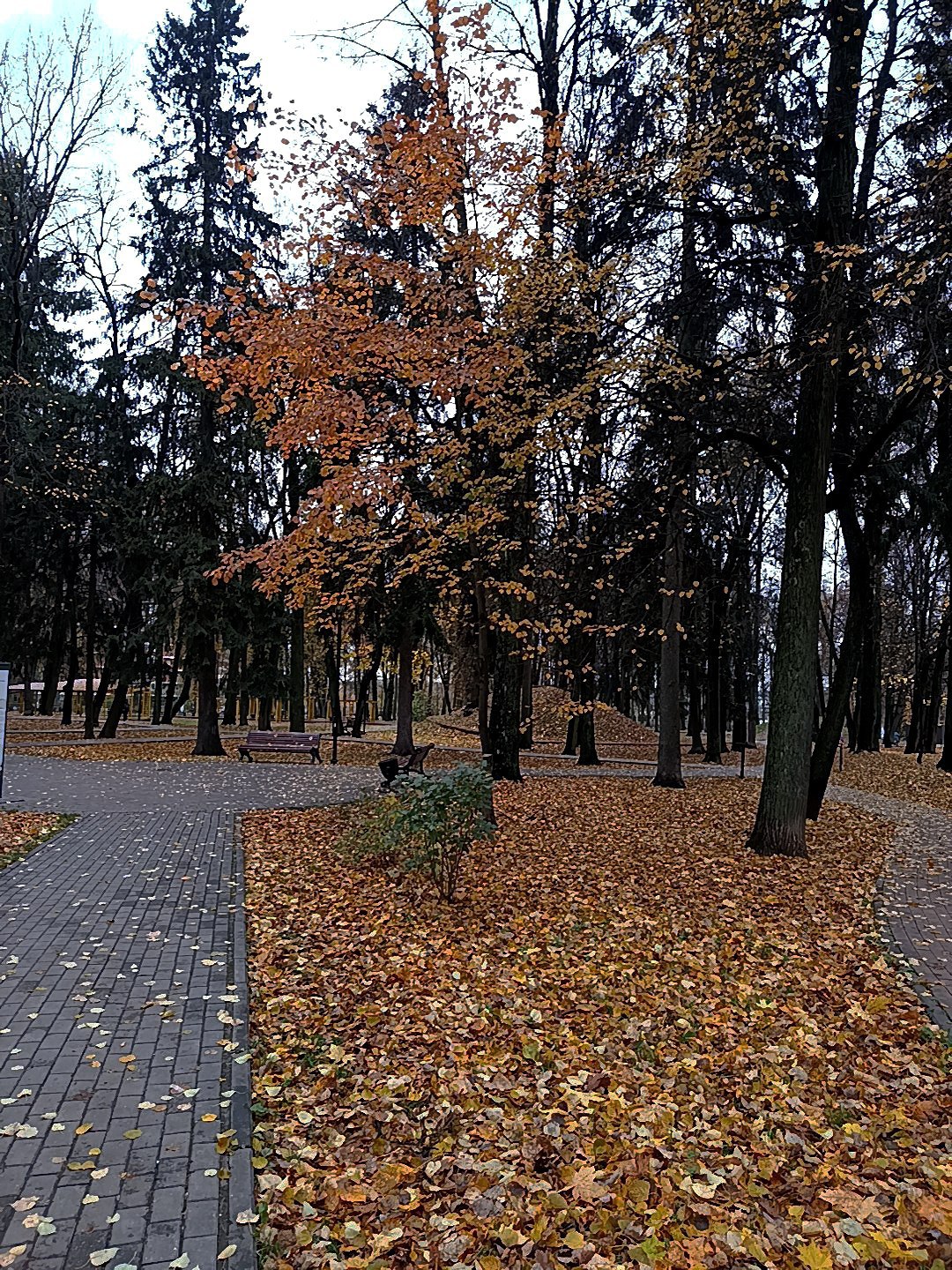 🎃🤩 | Сетка — социальная сеть от hh.ru