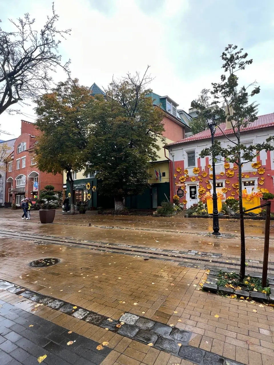 Осени вам в ленту.
Вчера был очень суматошный день. настолько, что сегодня прям вынужден был немного выгуляться, чтобы вернуться в рабочее состояние.
А как у вас осень проходит? | Сетка — социальная сеть от hh.ru