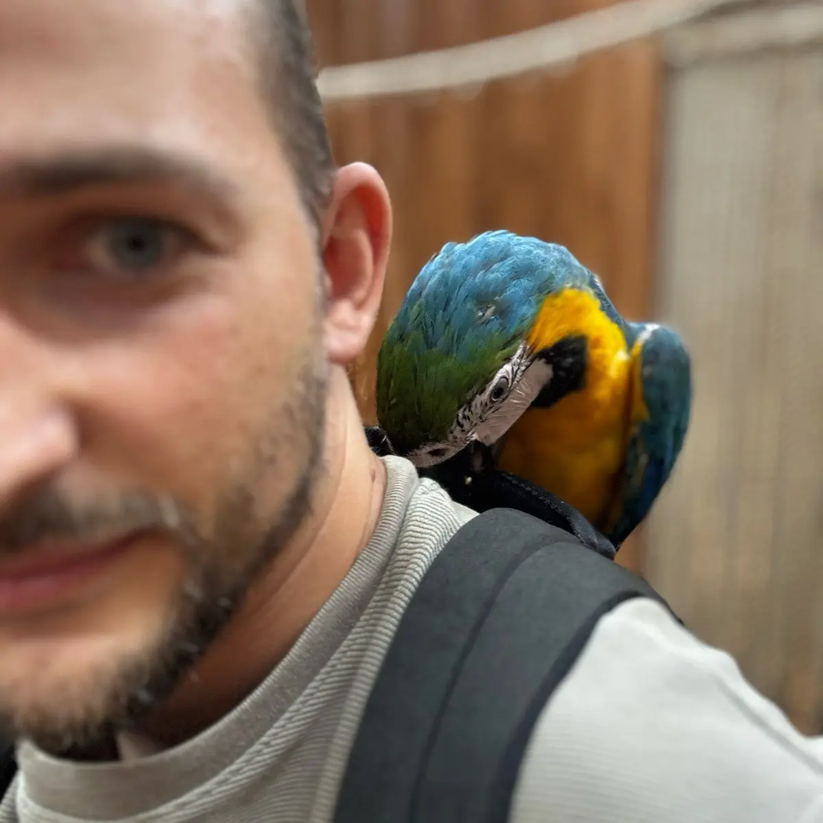 Network member avatar