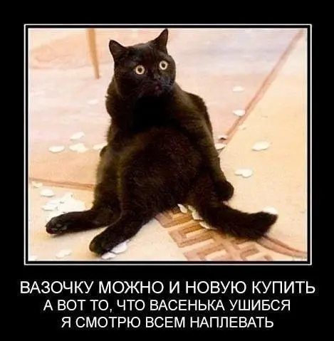 "Совершенно не умеют расставлять приоритеты" 😂
#Юмор@poldner #Коты@poldner | Сетка — социальная сеть от hh.ru