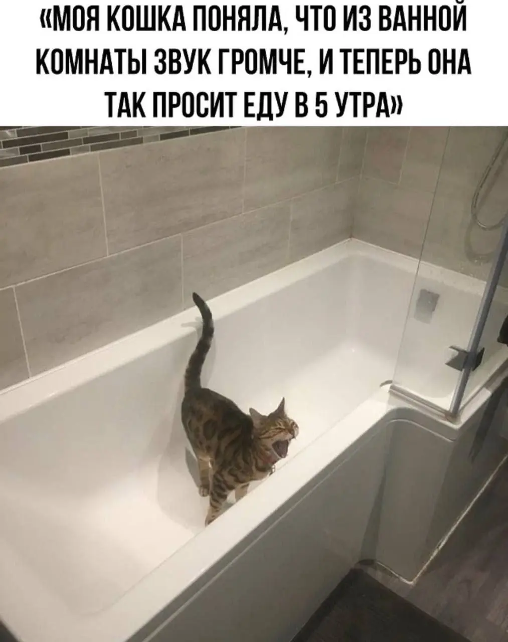 Сегодня пятница, а это значит пора обмениваться мемами! На прошлой неделе самый популярный мем был от Марины, он👆
Спасибо за активность!)
Публикуй мемы в комментариях и голосуй за другие любой реакцие... | Сетка — социальная сеть от hh.ru