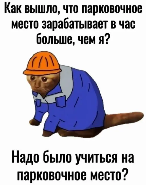 Зачем мне эта вышка? Всякие повышения и доп. обучения?
#ищуработу #смеюсьнадвакансиями #работанайдись | Сетка — социальная сеть от hh.ru