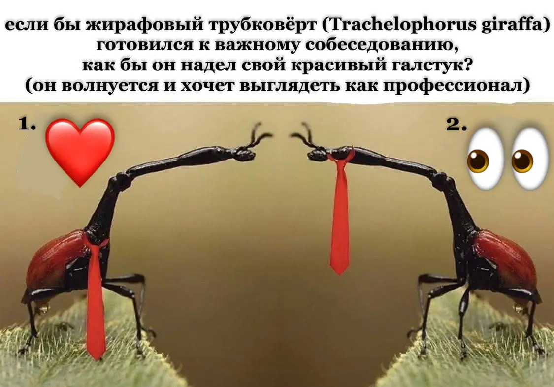 Кстати, какой стиль в одежде предпочитаете для собеседований? Деловой или обычный? | Сетка — социальная сеть от hh.ru