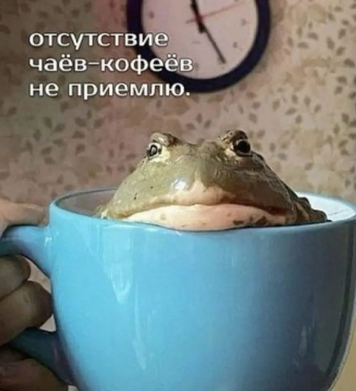 Труженики! 🐝
Согласны? | Сетка — социальная сеть от hh.ru