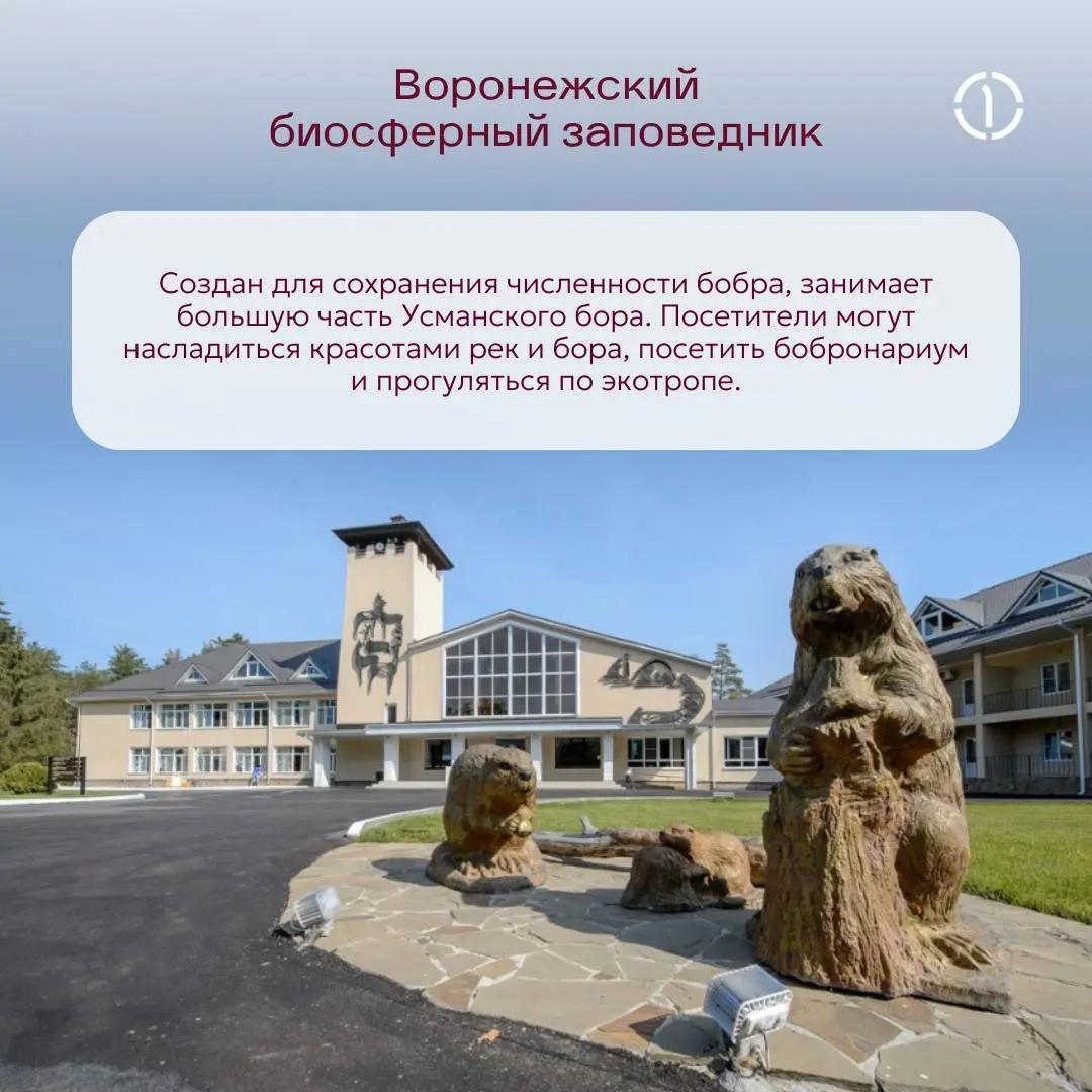⛵️ Где начинался русский флот? Конечно, в Воронеже!
Именно этот город Пётр I выбрал колыбелью русского военно-морского флота: он имел удачное расположение на берегу реки, в окрестностях росли дубы и с... | Сетка — социальная сеть от hh.ru