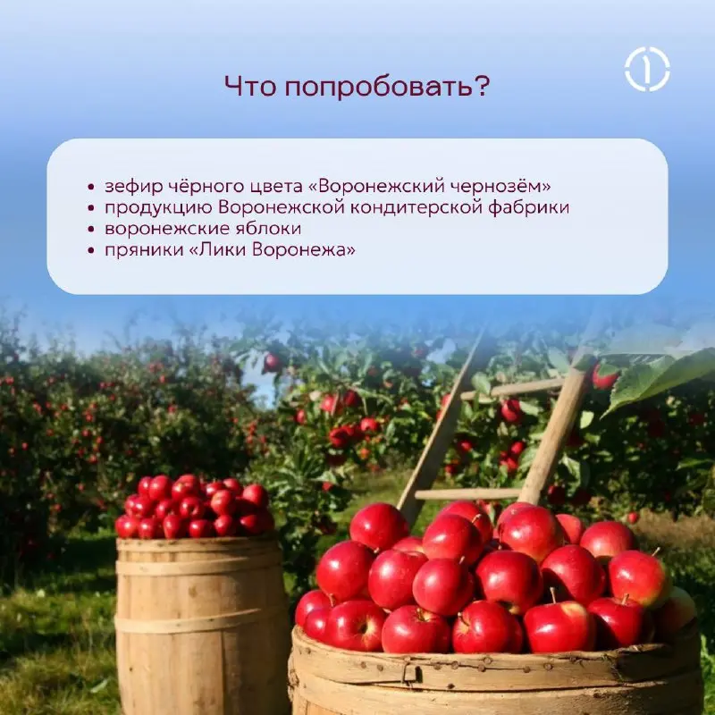 ⛵️ Где начинался русский флот? Конечно, в Воронеже!
Именно этот город Пётр I выбрал колыбелью русского военно-морского флота: он имел удачное расположение на берегу реки, в окрестностях росли дубы и с... | Сетка — социальная сеть от hh.ru