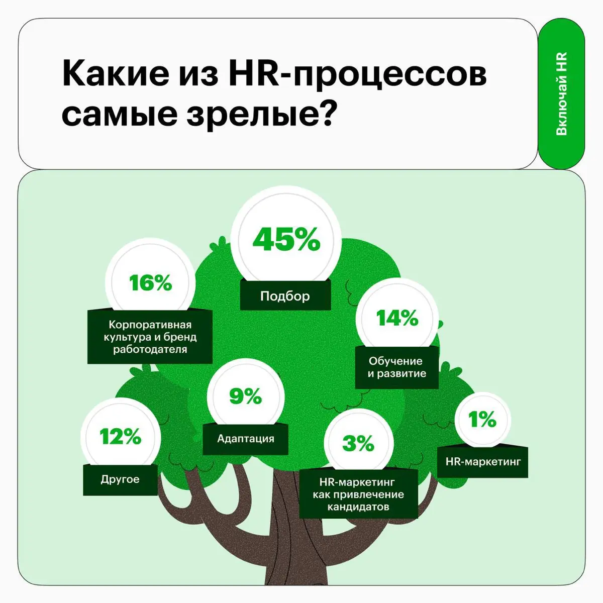 HR-цифровизация идет дальше Москвы и Санкт-Петербурга | Сетка — социальная сеть от hh.ru