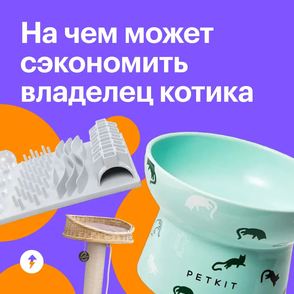 🐈 Уход за кошками стоит немало, и есть то, на чем действительно нельзя экономить: на хорошем корме, своевременных прививках и качественных обработках | Сетка — социальная сеть от hh.ru